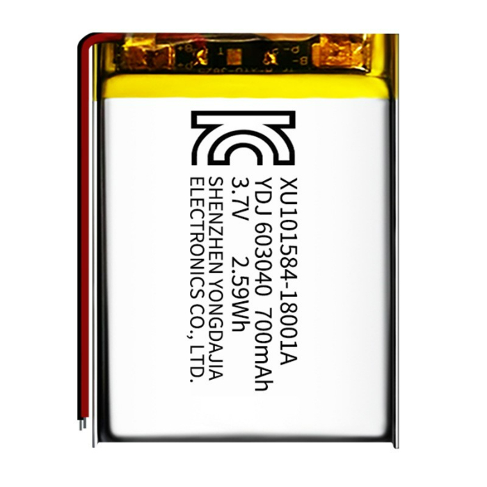 lithium polymer battery